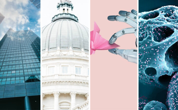 Decorative post preview